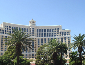 成都麗天星級酒店深夜网站免费观看設備采購項目